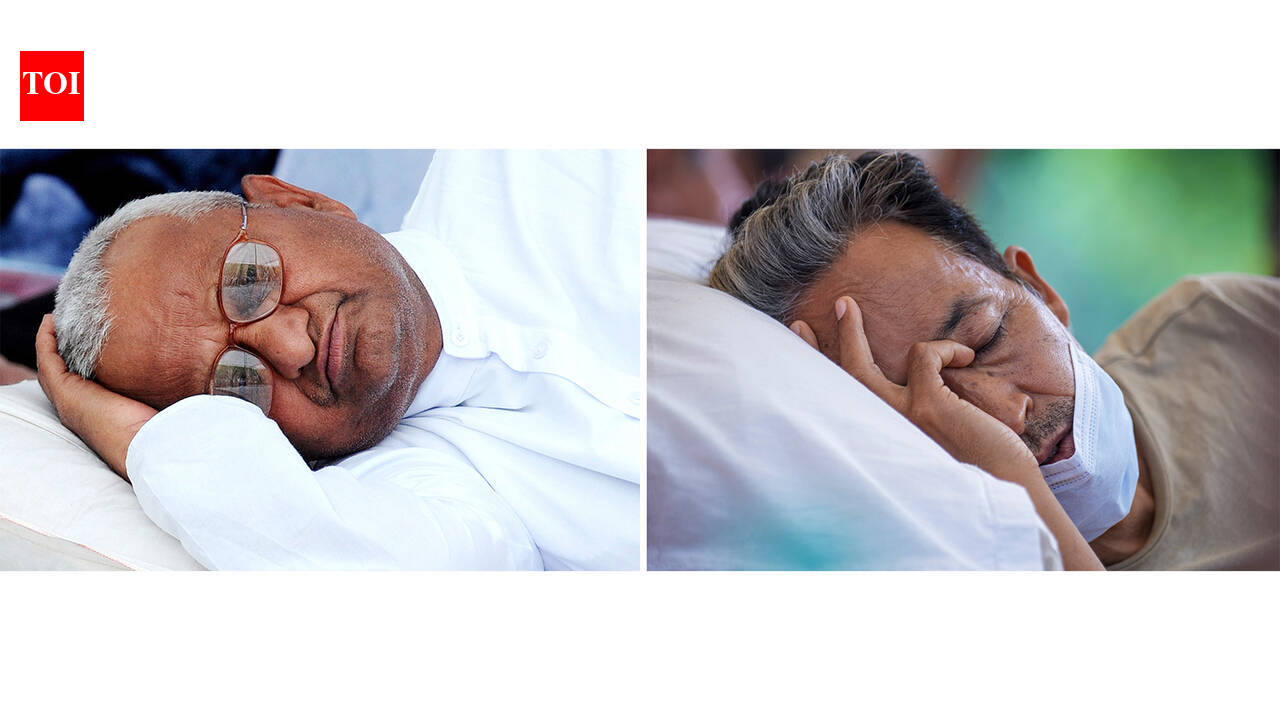 Architecture Of Protest: Hazare & Wangchuk