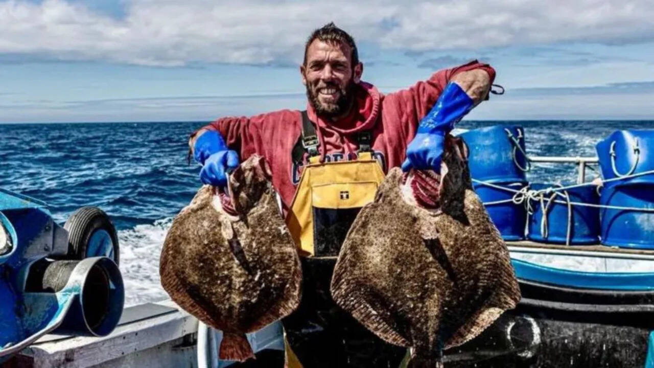 Warming seas are bringing octopus, red mullet and bream into UK waters