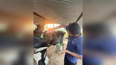 From drought to dairy gold: Vijayapura farmers earn over Rs 1 lakh every month