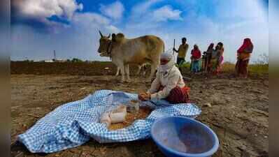 56 FIRs in a fortnight against seed firms: As soybean crisis deepens, new Act on the cards
