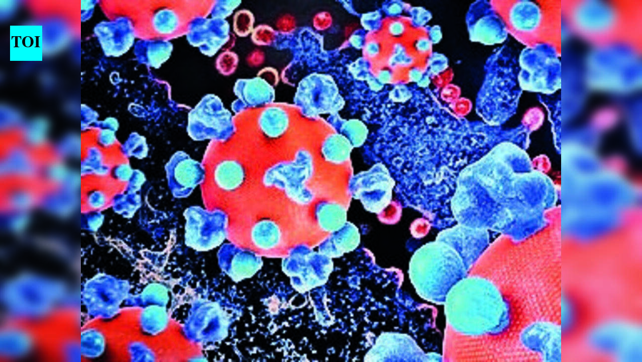 Omicron RF.5 sub-variant detected in four Covid-19 cases reported