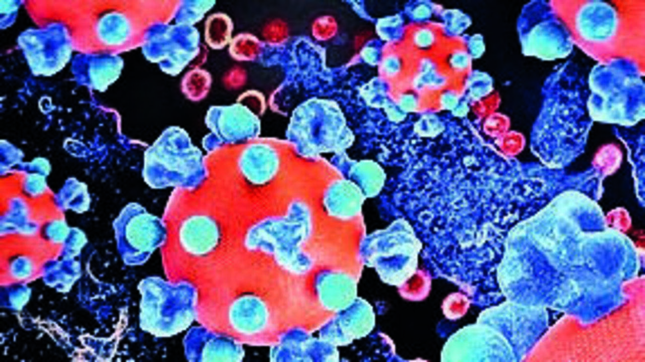 Omicron RF.5 sub-variant detected in four Covid-19 cases reported in Andhra Pradesh