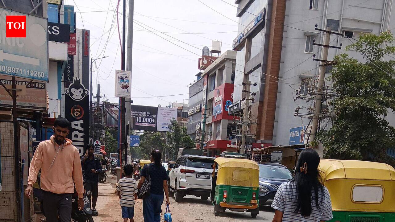 Tech hub’s mess: Walkability crisis persists on Neeladri Road in Bengaluru