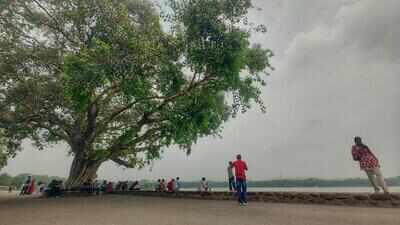 Rain brings relief but humidity keeps Chandigarh muggy
