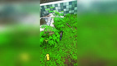 Peddlers Using NMC Properties As Narco Dumps? Citizens Want Action