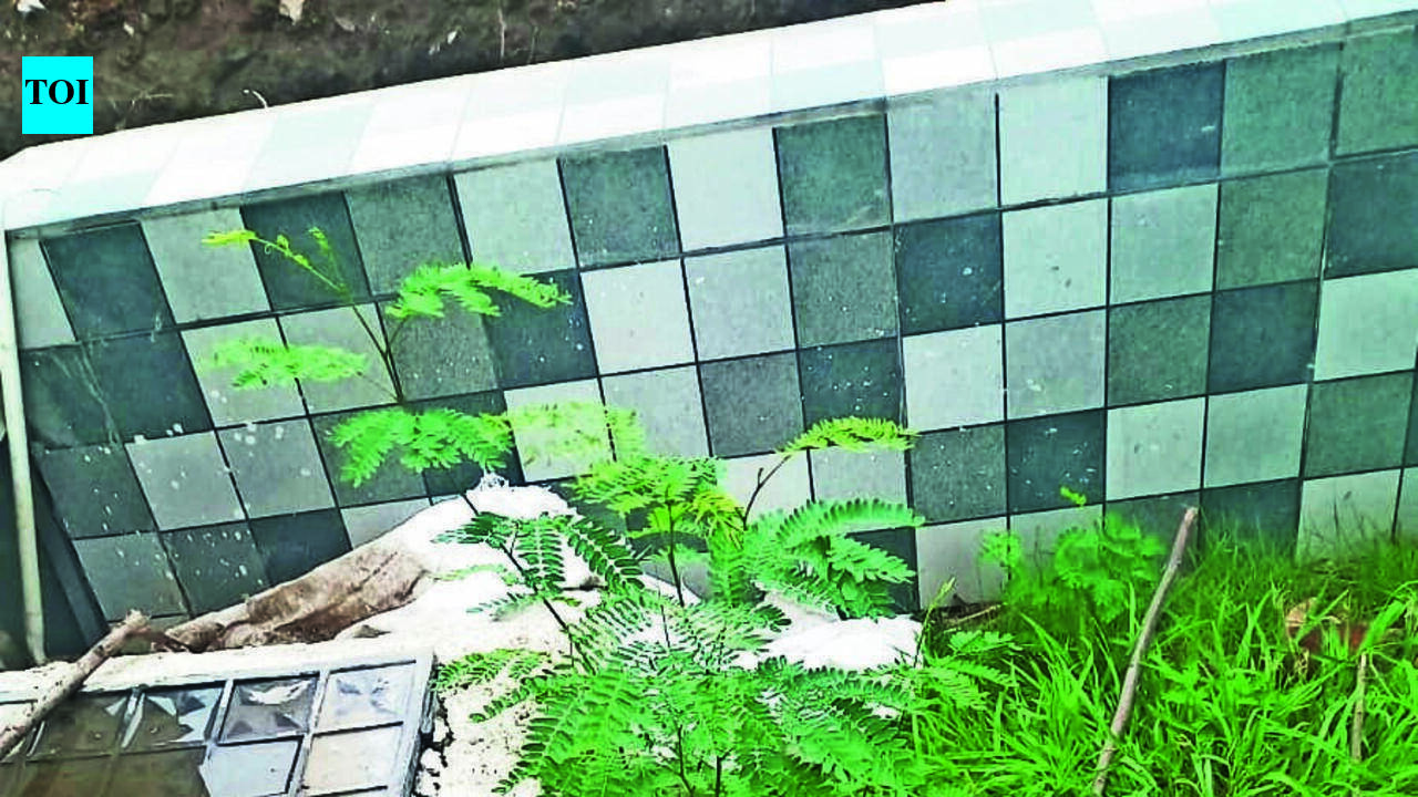 Peddlers Using NMC Properties As Narco Dumps? Citizens Want Action