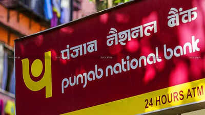 PNB targets $2.5bn via FCNR(B)