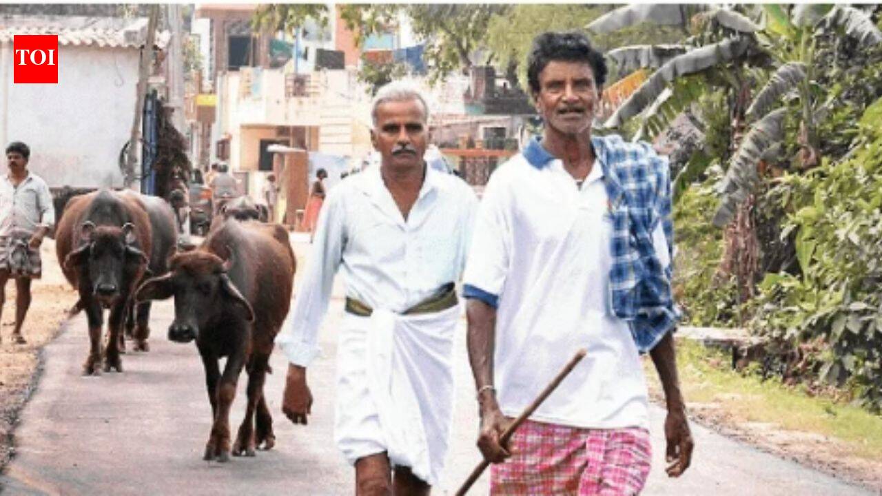 Vizag bets big on becoming ‘AI-Patnam’