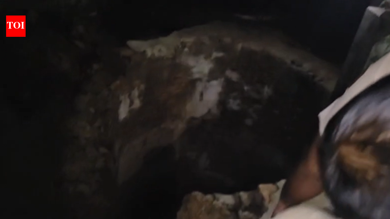 4 die after entering well to rescue calf in Haryana; toxic gas suspected
