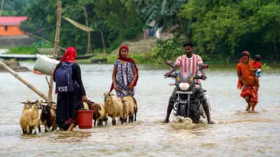 Assam floods: Death toll reaches 5, over 57,000 affected across 7 districts