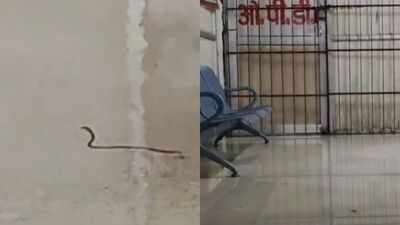 Rainwater floods NMCH orthopaedics ward in Patna; snakelet seen moving through waterlogged floors
