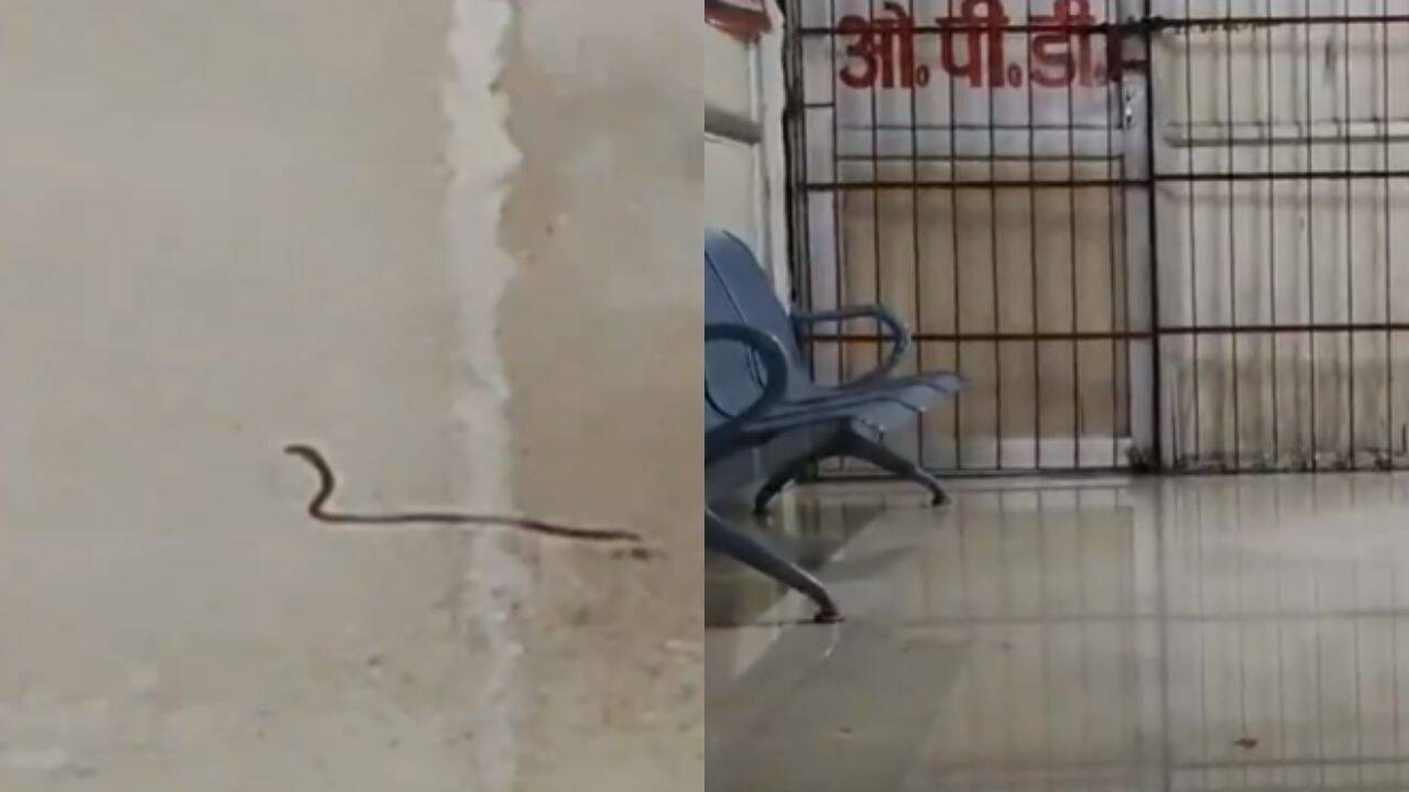 Rainwater floods NMCH orthopaedics ward in Patna; snakelet seen moving through waterlogged floors