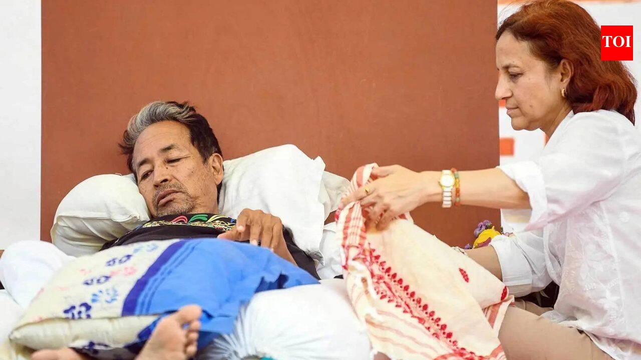 Sonam Wangchuk's wife challenges Delhi HC order, says it 'illegally  confines' him to Safdarjung hospital | India News - The Times of India