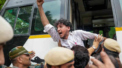 'Strictly Prohibited': Delhi Police Invokes Section 163, Issues Warning Over CJP's Sansad March