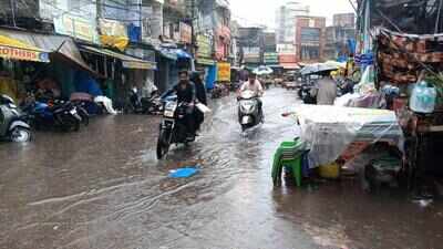 81.9 mm rain brings dramatic weather turnaround in Prayagraj