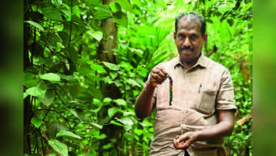 Coimbatore Farmer Earns UN FAO Recognition for Soil Health Farming Model