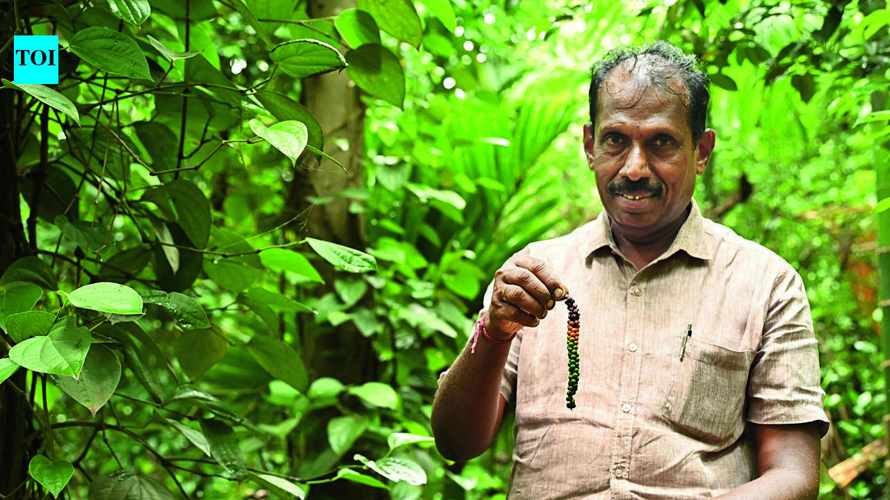 Coimbatore Farmer Earns UN FAO Recognition for Soil Health Farming Model