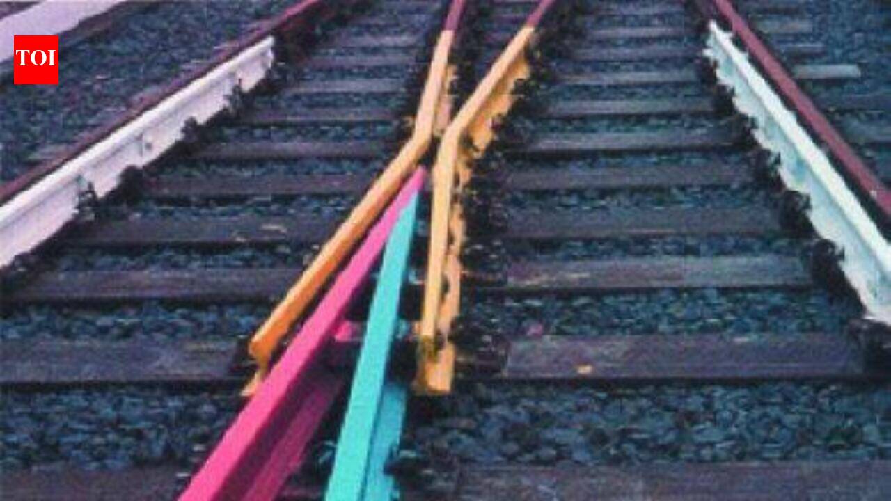 Man held for pushing woman techie off train