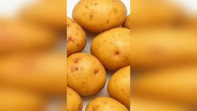 Centre notifies 2 new potato varieties boosting prospects for Himachal farmers