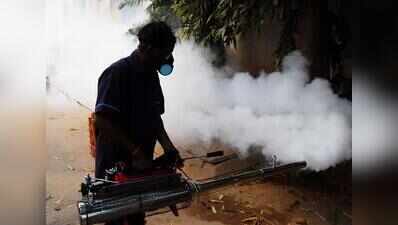 Woman tests positive for dengue, tally rises to 5 in city