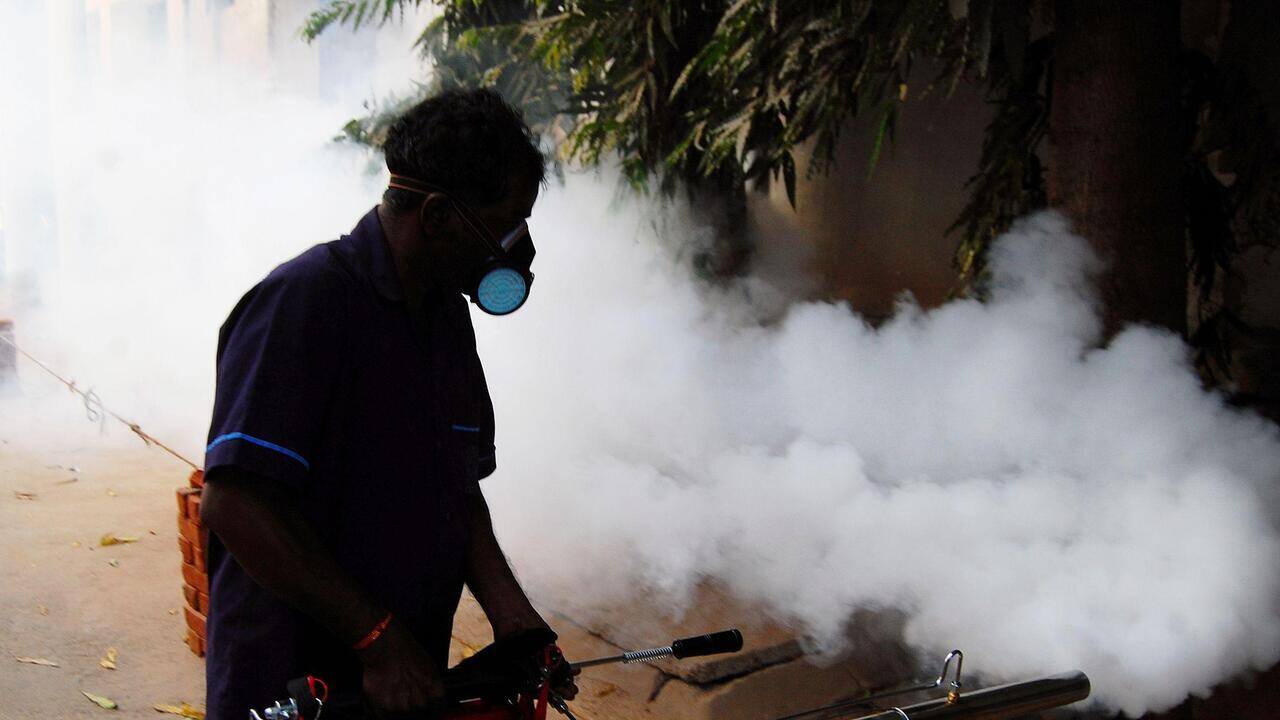 Woman tests positive for dengue, tally rises to 5 in city