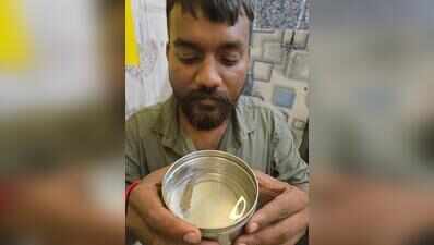 Cafe owner adopts flood-borne fish ‘SMC’