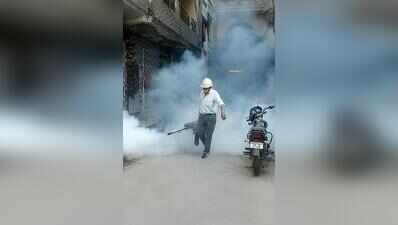 21 cases so far, Sector 50, Barola among dengue hotspots