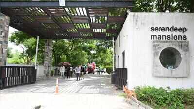 Ahmedabad: Leopard strays into society, puts Shela in a spot