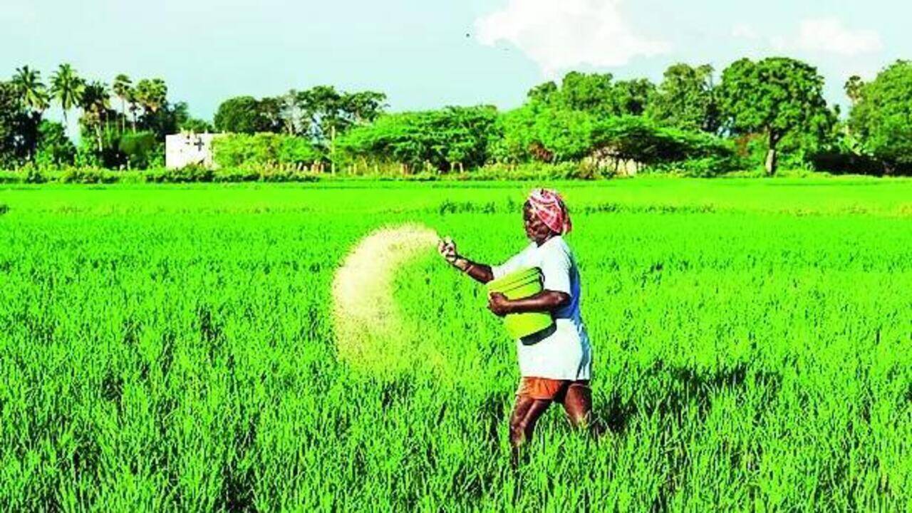 Global urea prices ease after May spike, fall 40% in June