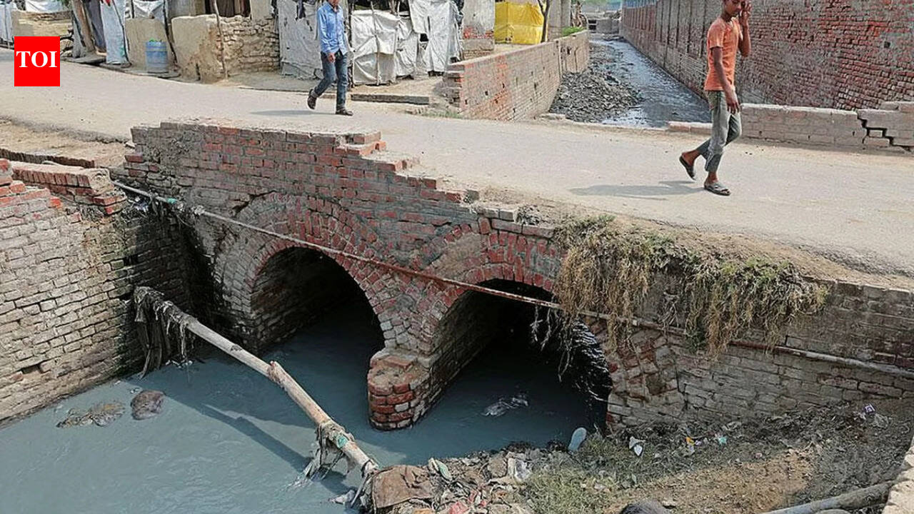 Is your sewage backup swarming with drug-resistant bacteria? What the new study found and how to protect yourself