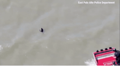 Watch: US firefighters rescue dog that went missing after July 4th fireworks