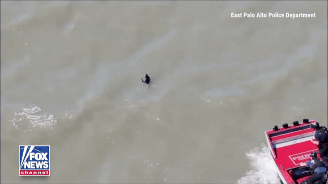 Watch: US firefighters rescue dog that went missing after July 4th fireworks