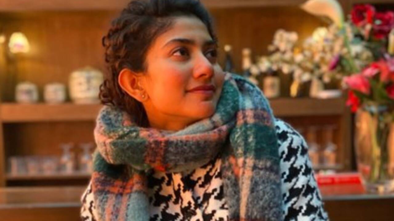 Sai Pallavi pens heartfelt note after Rajkumar Periasamy's National Award win for 'Amaran': 'I'm celebrating your victory as my own'