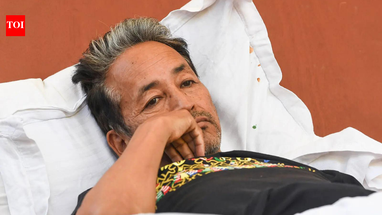 HC allows Sonam Wangchuk’s transfer to private hospital amid hunger strike; Centre says ‘no objection’