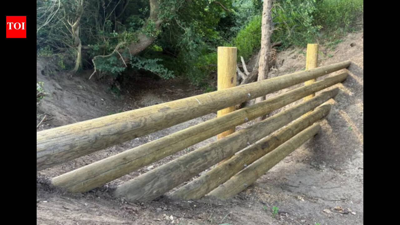 UK village builds £35,000 beaver-style dams to fight floods amid hosepipe ban