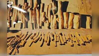 CCB Cracks Inter-State Sandalwood Smuggling Racket; Four Arrested, 82.6 kg Sandalwood Seized