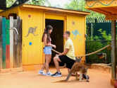 Surprise zoo proposal: Texas man pops question amid kangaroos; college &lsquo;roos&rsquo; tie-in