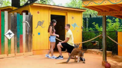 A woman thought she was helping train a new zookeeper at San Antonio Zoo, but her boyfriend had planned a surprise proposal inside the kangaroo habitat