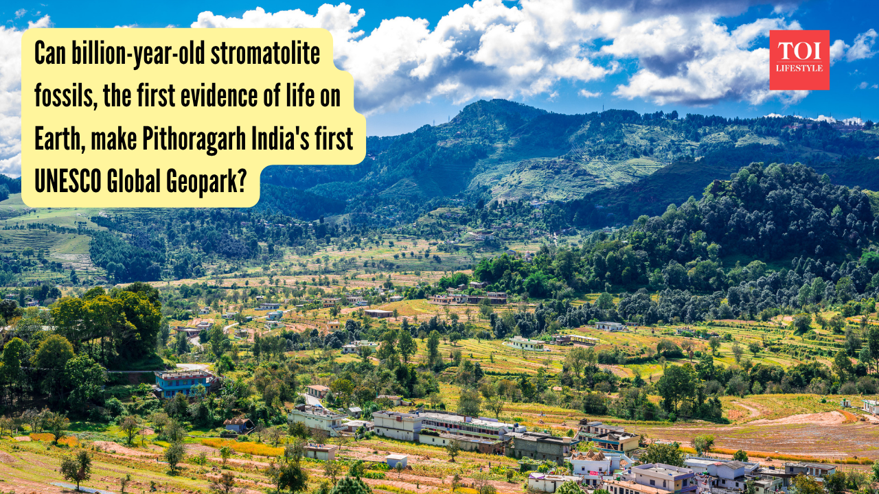 Can Pithoragarh’s bn-yr-old fossils help it become India’s first Unesco Global Geopark?