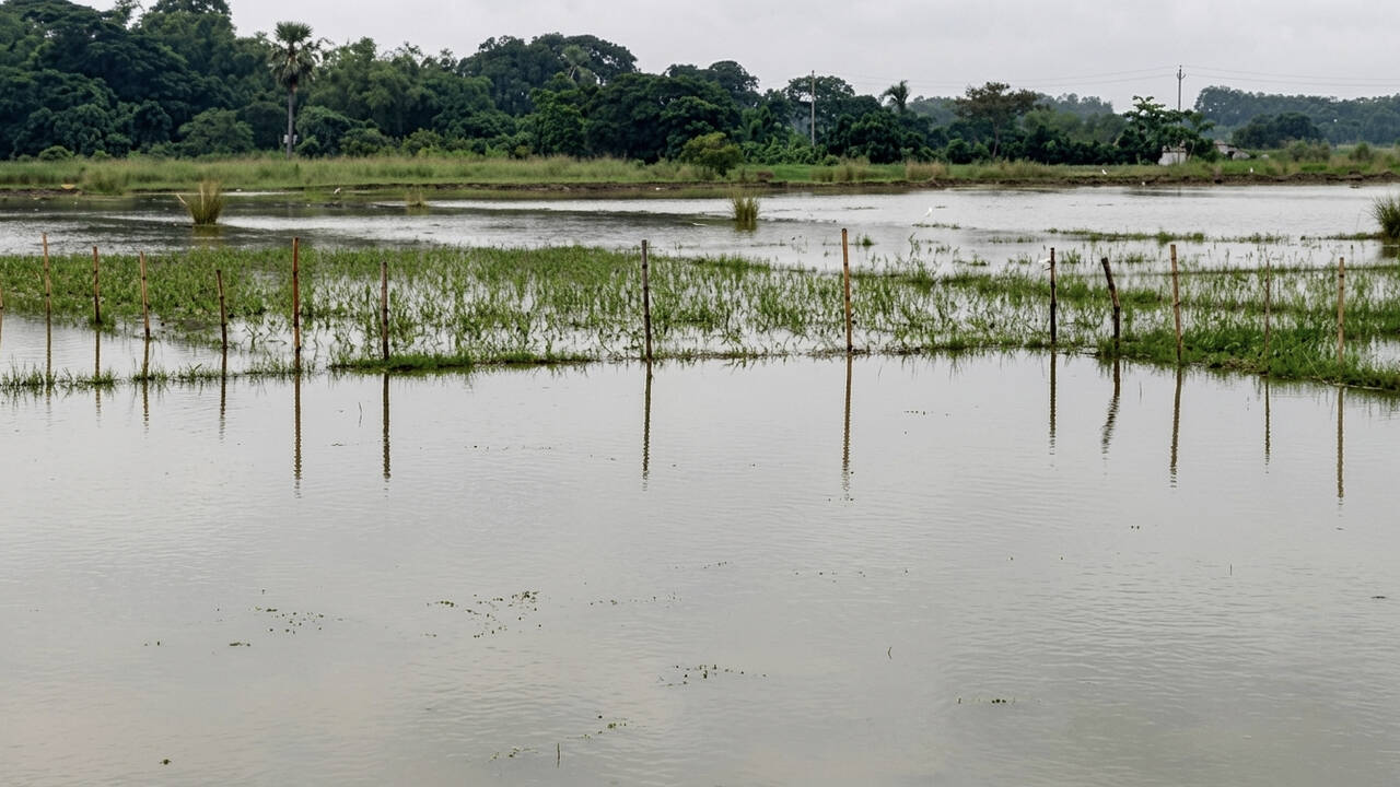 Govt assures compensation for farmers hit by crop loss