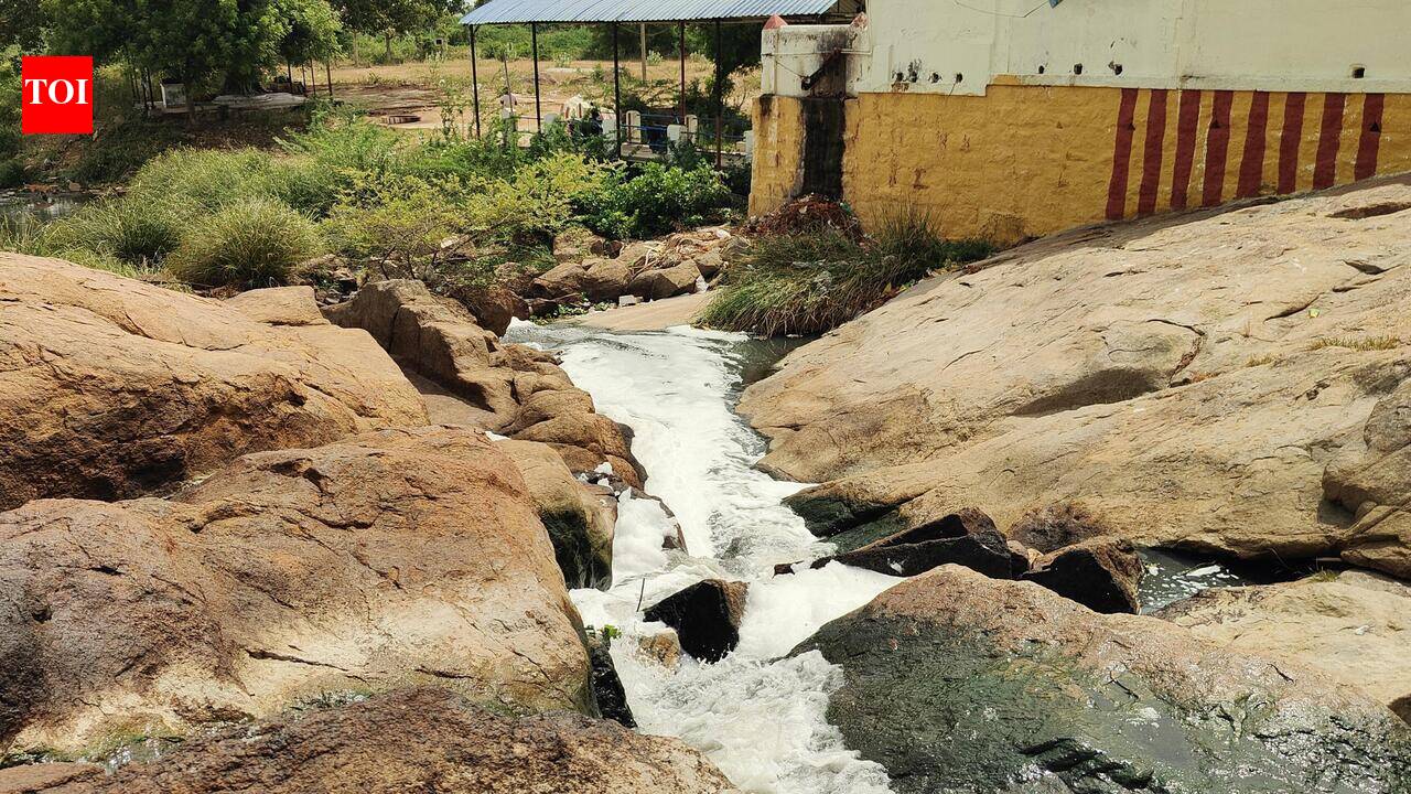 Sewage-choked Uyyakondan now polluting Kudamurutti River