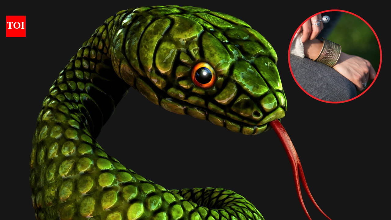 Obituaries to snake bite payouts in Chhattisgarh: Tehsildars reveal ‘same advocate, same format’ pattern