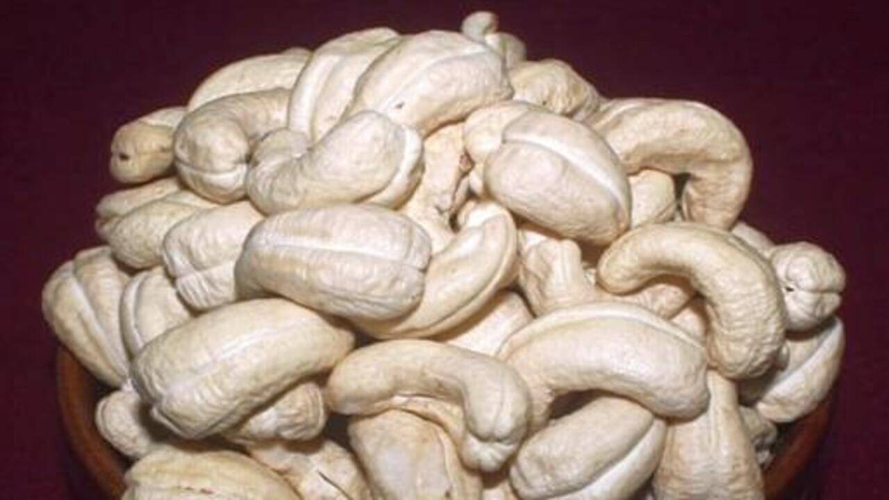 Palasa cashew units to shut for 10 days amid losses