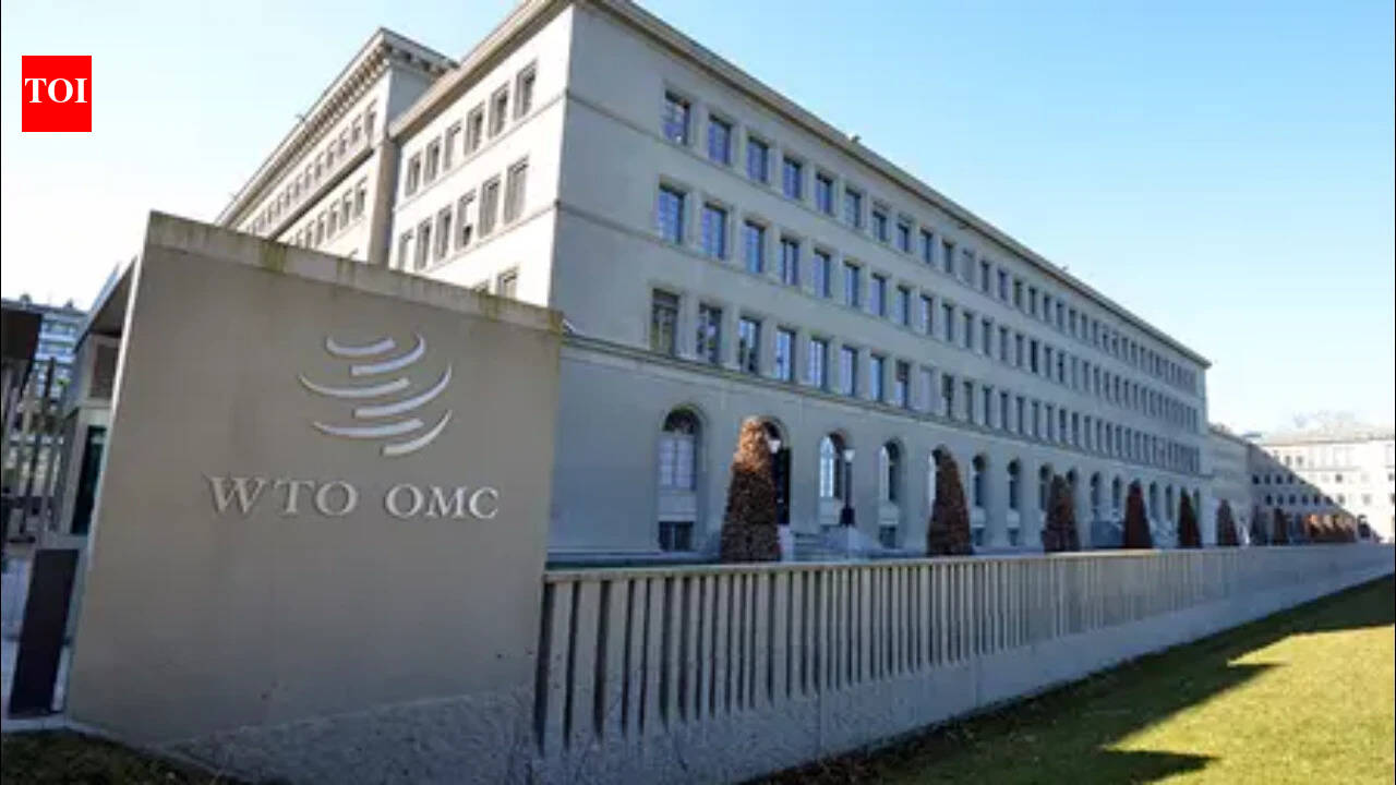 India's growth remains strong, but trade barriers threaten 2047 goal: WTO