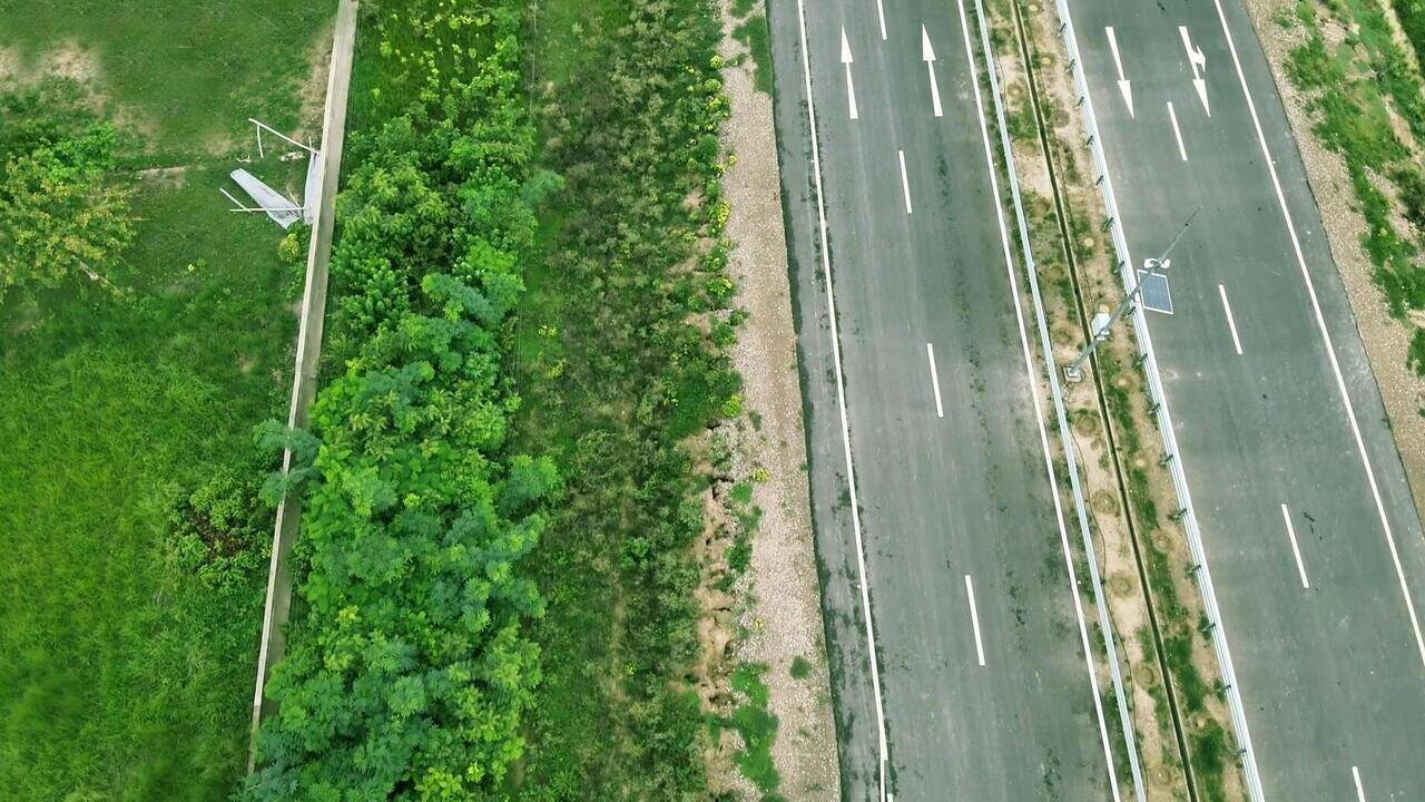 42.5km corridor to boost honeybee population along Ghazipur e-way