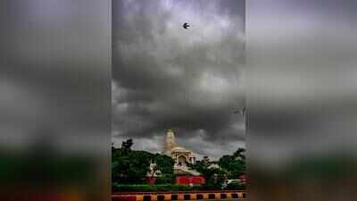 Monsoon revives at many places, Sikar records highest rainfall