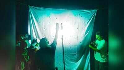 50 moth species found during Sukhna night watch