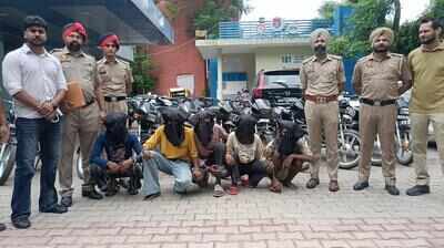 5 held, 15 stolen two-wheelers recovered in Mohali