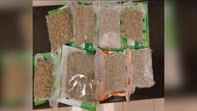 Air passenger carrying hydroponic ganja arrested