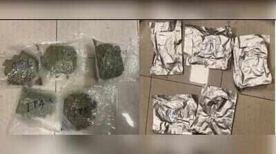 Air passenger carrying hydroponic ganja arrested